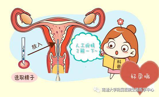 新乡助孕公司