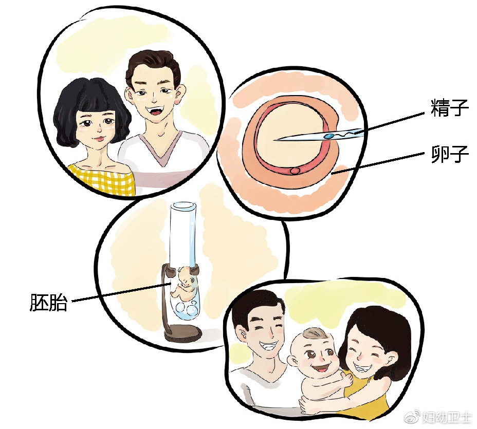 郑州高薪招聘捐卵志愿者