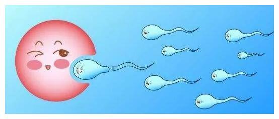 借卵生子