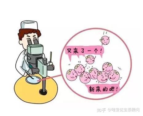 遵义捐卵机构