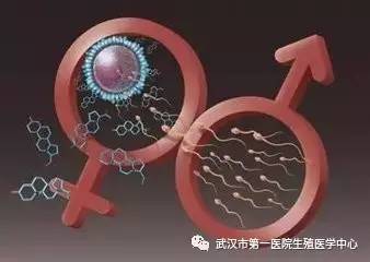 正规供卵中心