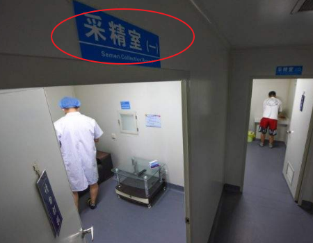 捐卵