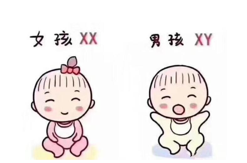 上海供卵试管机构