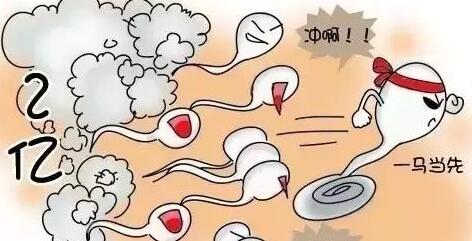 苏州捐卵机构