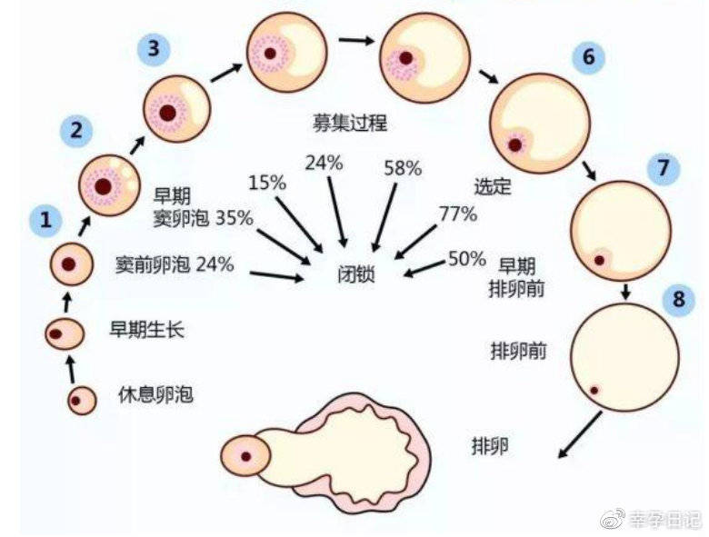 郑州捐卵