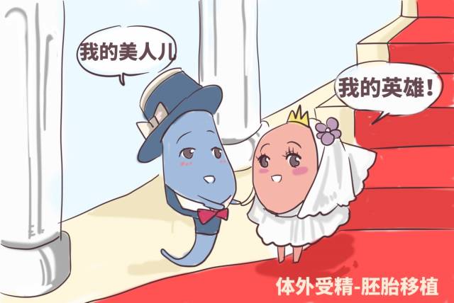 河南捐卵公司
