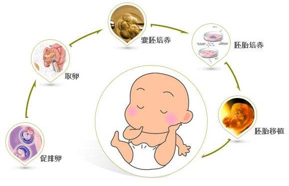 开远捐卵机构