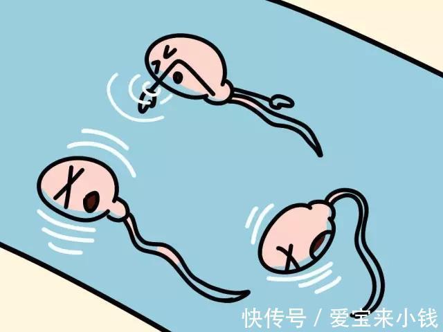 捐卵有偿上海