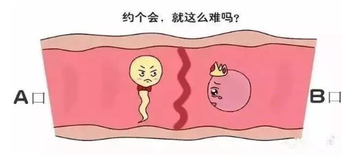 深圳捐卵试管中心