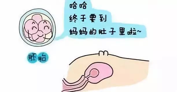郑州捐卵招聘女生