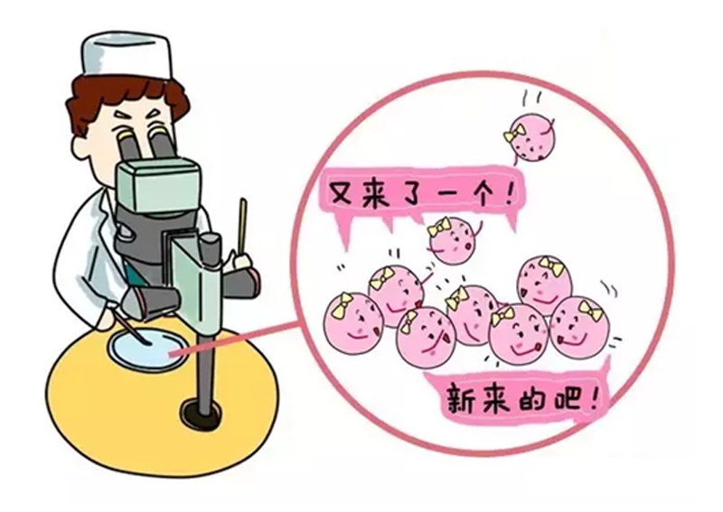 株洲有偿招聘捐卵女孩