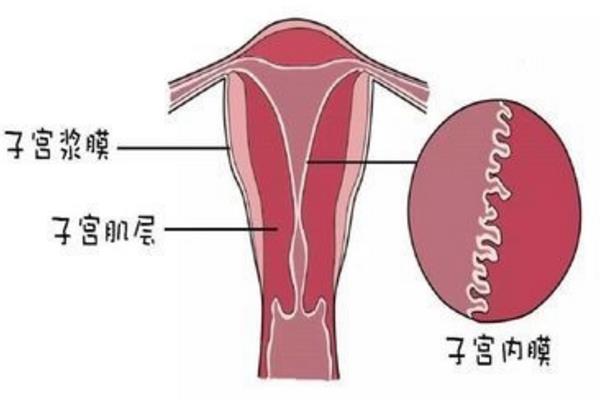 青岛有偿捐卵联系方式