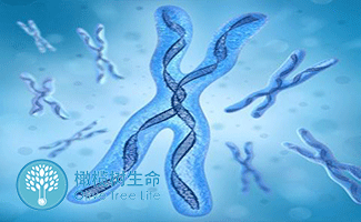 肇庆捐卵试管中心医院